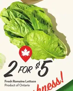 Longo's Fresh Romaine Lettuce offer
