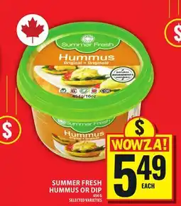 Food Basics SUMMER FRESH HUMMUS OR DIP offer