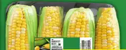 Food Basics ROMAINE HEARTS OR SWEET CORN offer