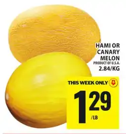 Food Basics HAMI OR CANARY MELON offer
