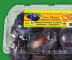 Food Basics BLUE PLUMS OR BLUE GRAPES OR BARTLETT PEARS offer