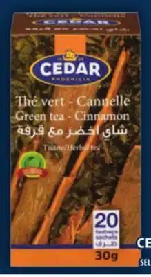 Food Basics NORDEX KASHTA CREAM OR BEST NECTAR OR CEDAR TEA offer