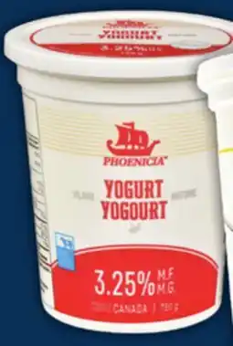 Food Basics CEDAR OR PHOENICIA YOGURT offer
