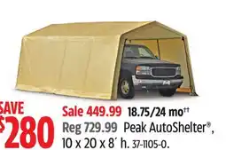 Canadian Tire Shelterlogic Peak AutoShelter offer