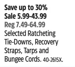 Canadian Tire Selected Ratcheting Tie-Downs, Recovery Straps, Tarps and Bungee Cords offer