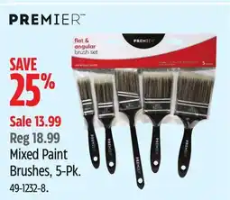 Canadian Tire Mixed Paint Brushes offer