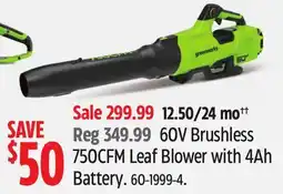 Canadian Tire Greenworks 60V Brushless 750CFM Leaf Blower with 4Ah Battery offer