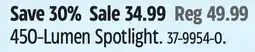 Canadian Tire Mastercraft 450-Lumen Spotlight offer