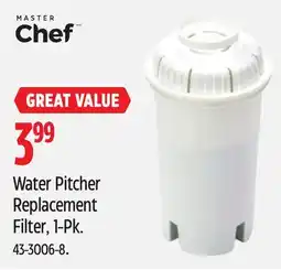 Canadian Tire MASTER CHEF Water Pitcher Replacement Filter, 1-Pk offer