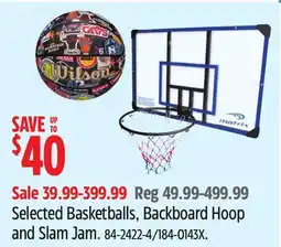 Canadian Tire Selected Basketballs, Backboard Hoop and Siam Jam offer
