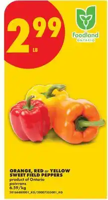No Frills ORANGE, RED OR YELLOW SWEET FIELD PEPPERS offer