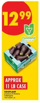 No Frills EGGPLANT, 11 LB CASE offer