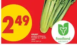 No Frills CELERY offer