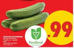 No Frills ENGLISH CUCUMBERS offer