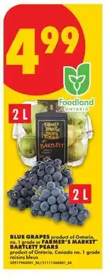 No Frills BLUE GRAPES OR FARMER'S MARKET BARTLETT PEARS offer