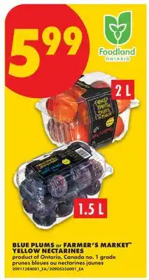 No Frills BLUE PLUMS, 1.5 L OR FARMER'S MARKET YELLOW NECTARINES, 2 L offer