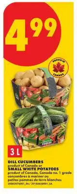 No Frills DILL CUCUMBERS OR SMALL WHITE POTATOES offer