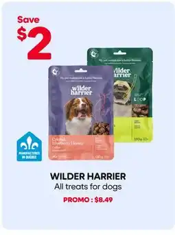 Mondou WILDER HARRIER All treats for dogs offer