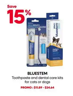 Mondou BLUESTEM Toothpaste and dental care kits for cats or dogs offer