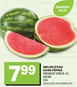 L'Intermarché MELON D'EAU SANS PÉPINS | SEEDLESS WATERMELON offer
