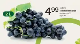 Avril Ontario raisins bleus bios offer
