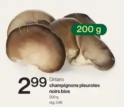 Avril Ontario champignons pleurotes noirs bios offer