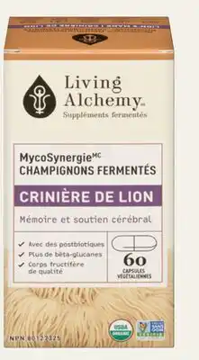Avril crinière de lion offer