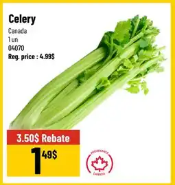 Mayrand Celery offer