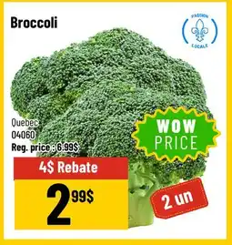 Mayrand Broccoli offer
