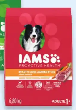 Walmart IAMS dry dog food offer