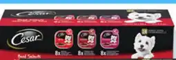 Walmart Cesar wet dog food variety pack offer