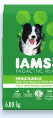 Walmart IAMS dry dog food offer