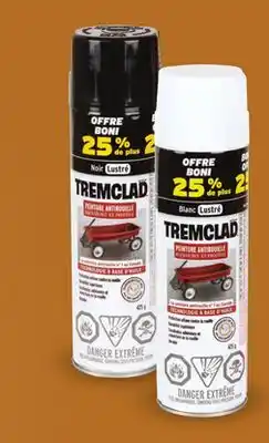 Canac Anti-Rust Paint offer
