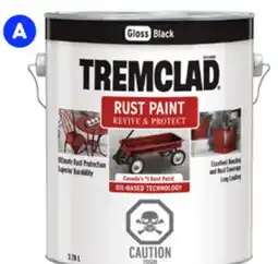 RONA TREMCLAD RUST PAINT offer