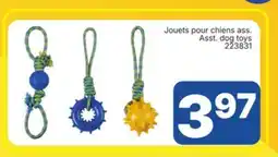 Rossy Asst. dog toys offer