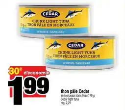 Super C thon pâle Cedar offer