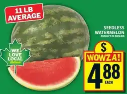 Food Basics Seedless Watermelon offer