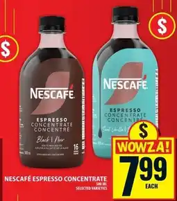 Food Basics Nescafe espresso concentrate offer
