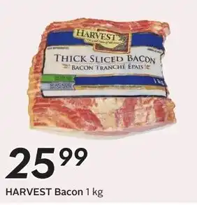 Harvest bacon