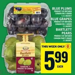 Food Basics Bartlett pears offer