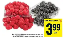 Food Basics Raspberries Blackberries offer