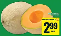 Food Basics Cantaloupes offer