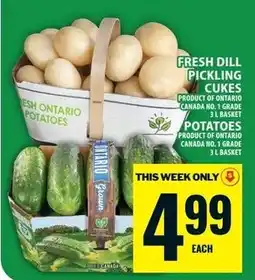 Food Basics Fresh dill pickling cucumbers offer