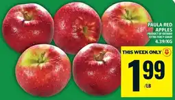 Food Basics Paula Red Apples offer