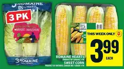 Food Basics Romaine hearts offer