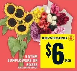 Food Basics 5 stem sunflowers or roses offer