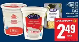 Food Basics Cedar plain yogurt offer
