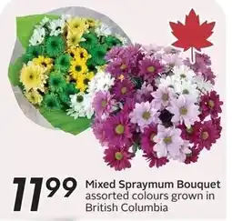 Sobeys Mixed Spraymum Bouquet offer