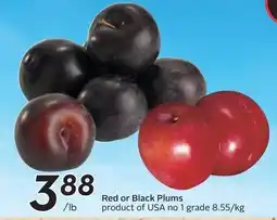 Sobeys Red or Black Plums offer