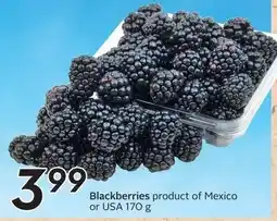 Sobeys Blackberries offer